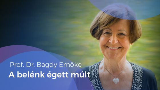 Borító: A belénk égett múlt